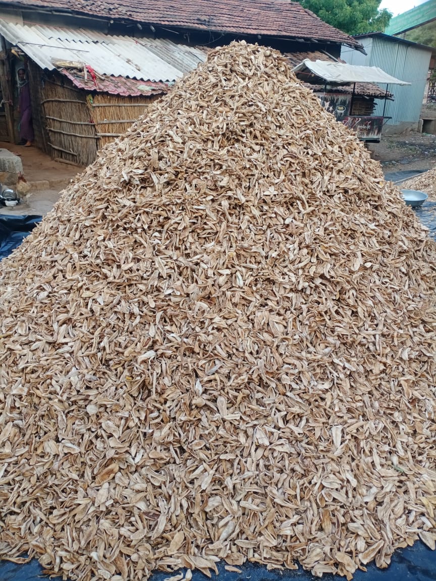 Dried Mango
