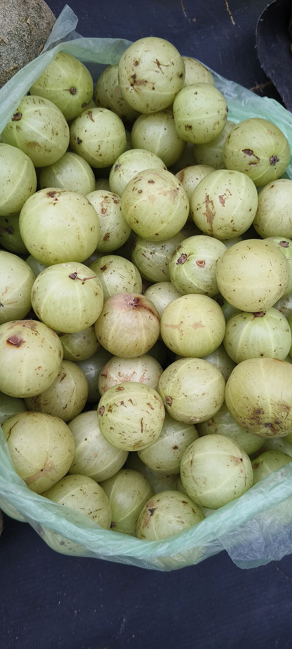 Nelli (Indian Gooseberry)