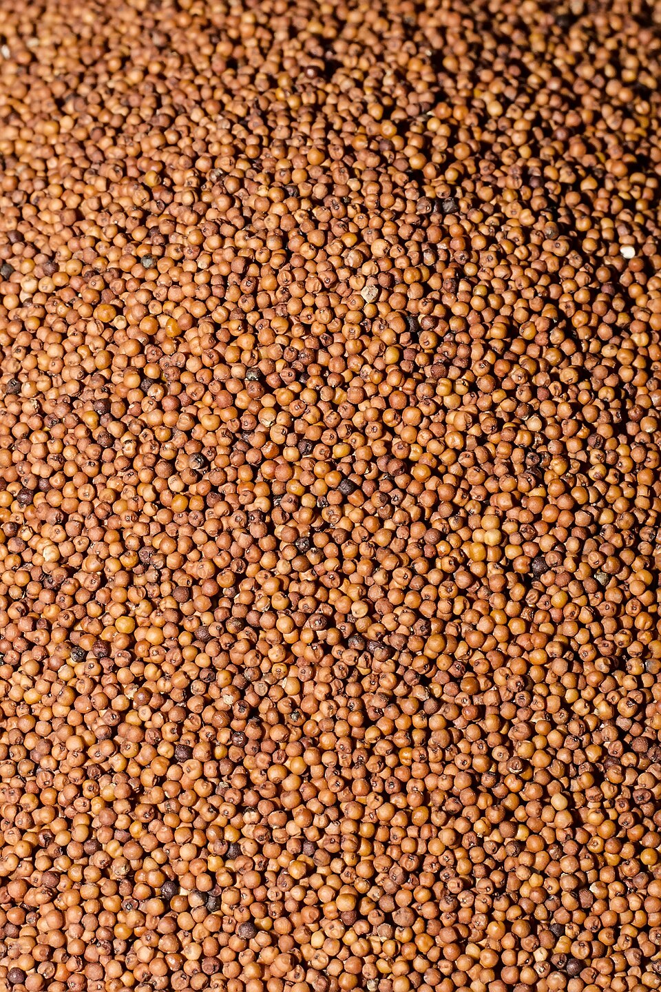 Kurakkan Flour