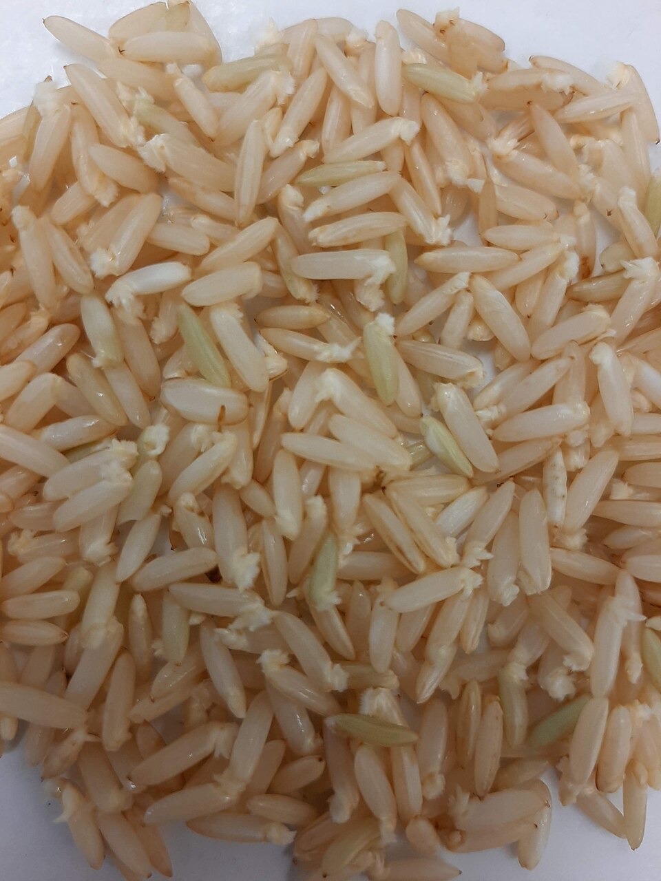 Maa Wee Rice