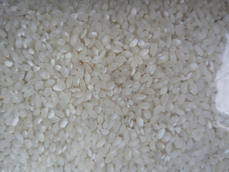 Water Lily Rice
